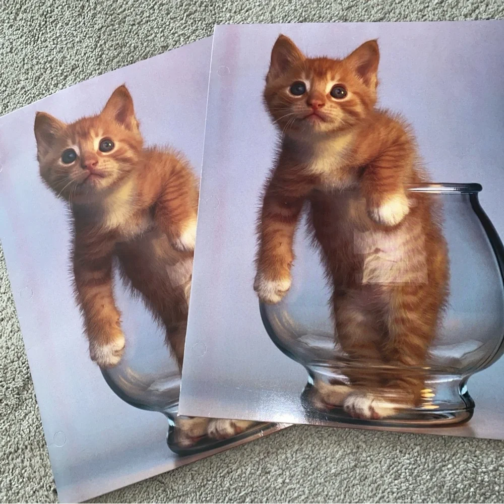 Vintage G.K. & Vikki Hart Photography Mead Portfolio Folder Cat Purrs &‎ Grrrs 2